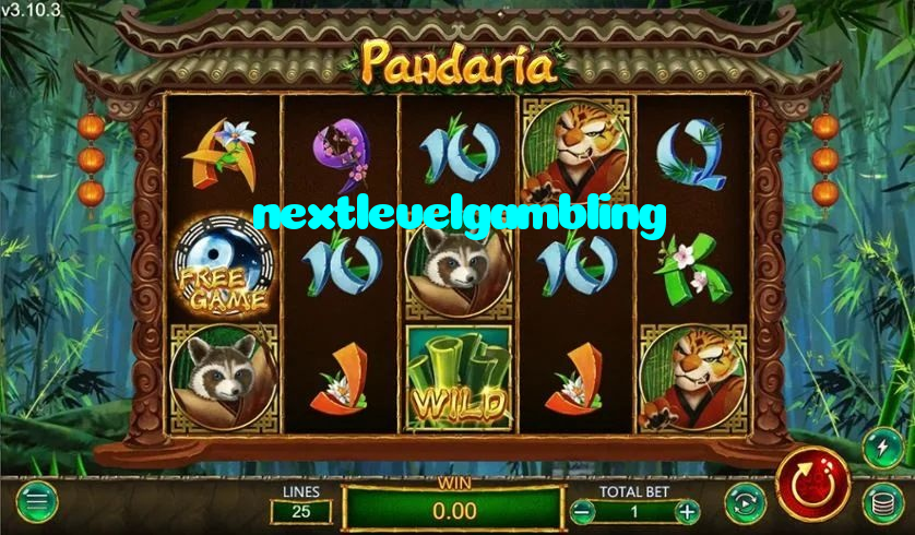 making first deposit on nextlevelgambling website using local payment methods in Pakistan
